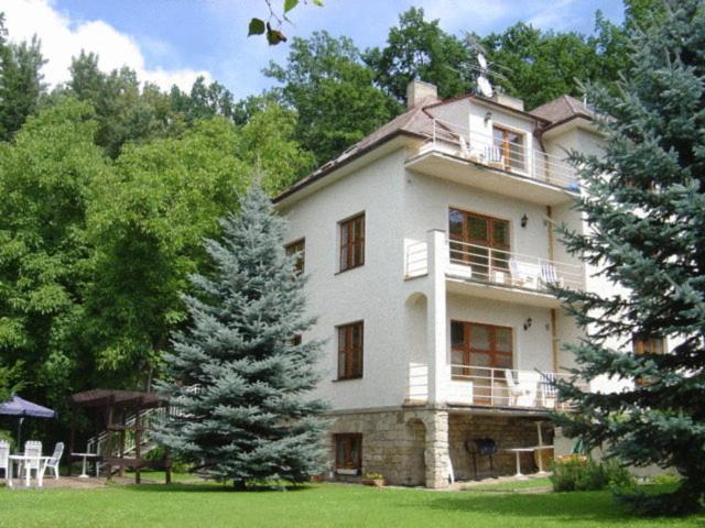 Hotel Villa Conti Písek Dış mekan fotoğraf