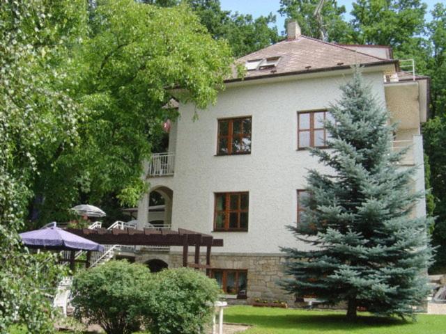 Hotel Villa Conti Písek Dış mekan fotoğraf
